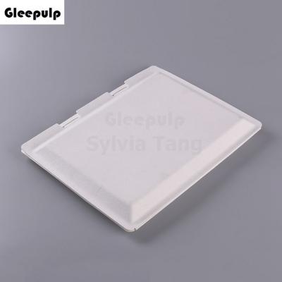 Eco-friendly Bagasse Pulp Molded T-Shirt Packaging Box