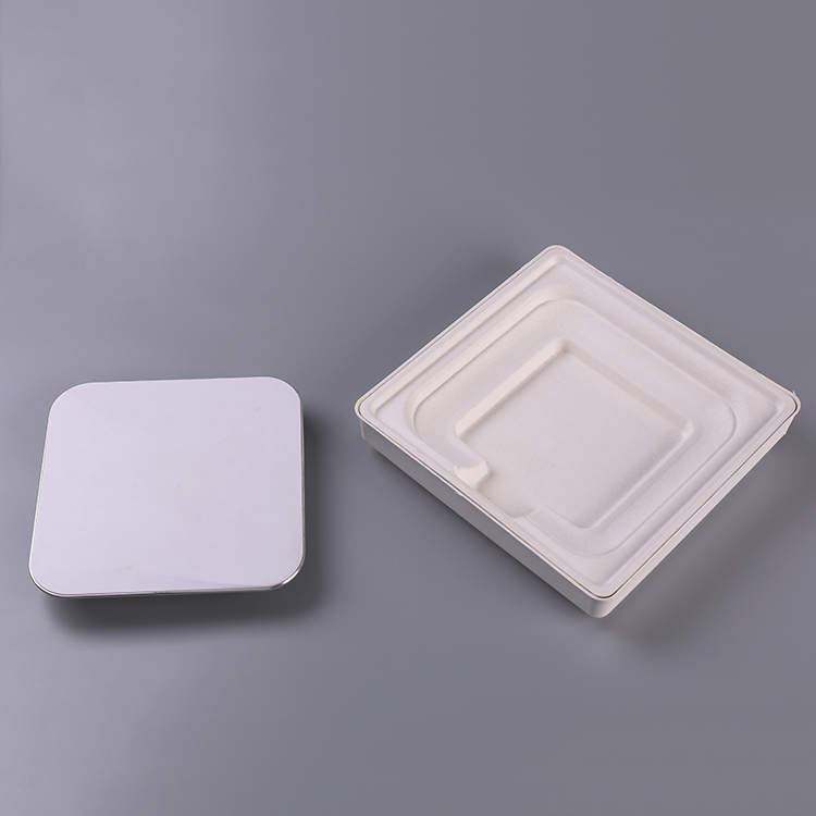Eco-friendly Customized Molded Pulp Packaging For Electronics