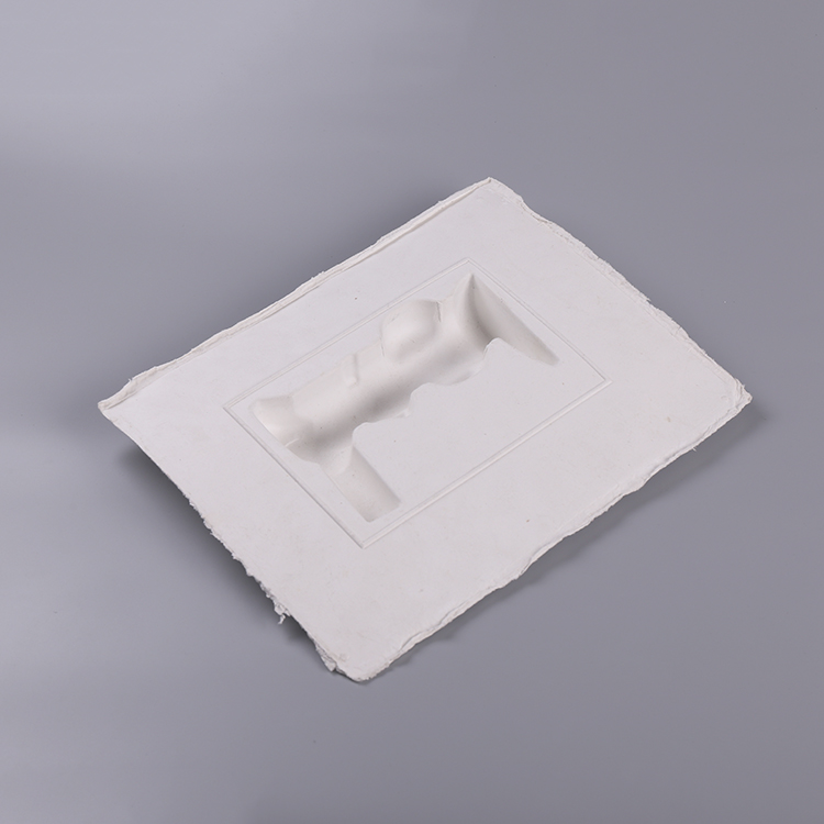 Custom Bagasse Pulp Mold Game Telecontroller Packaging