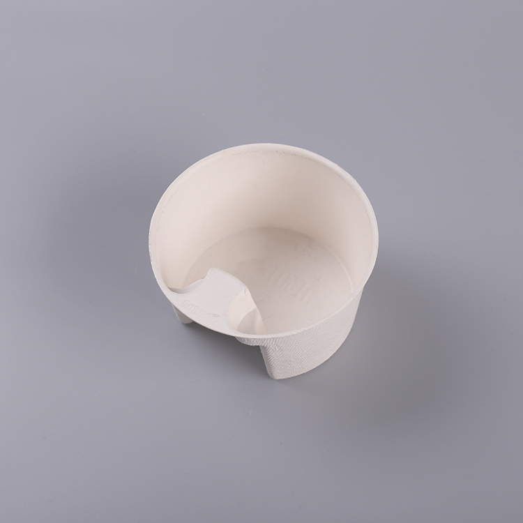 Pulp Molding Sugarcane Bagasse Cup Packaging Insert