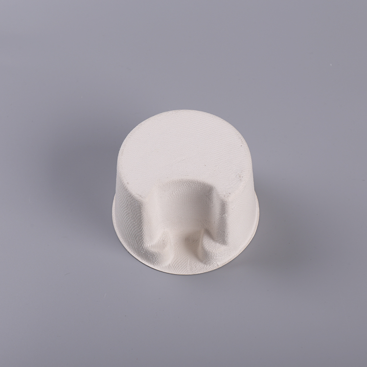 Pulp Molding Sugarcane Bagasse Cup Packaging Insert