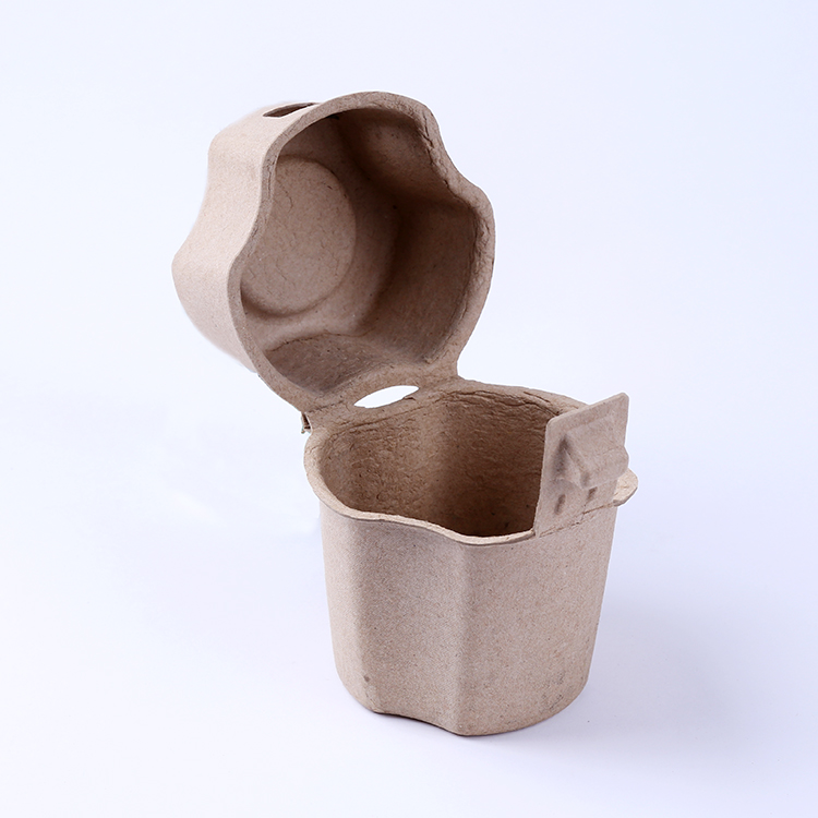 Eco-friendly Paper Pulp Molded Bottle Packaging Box