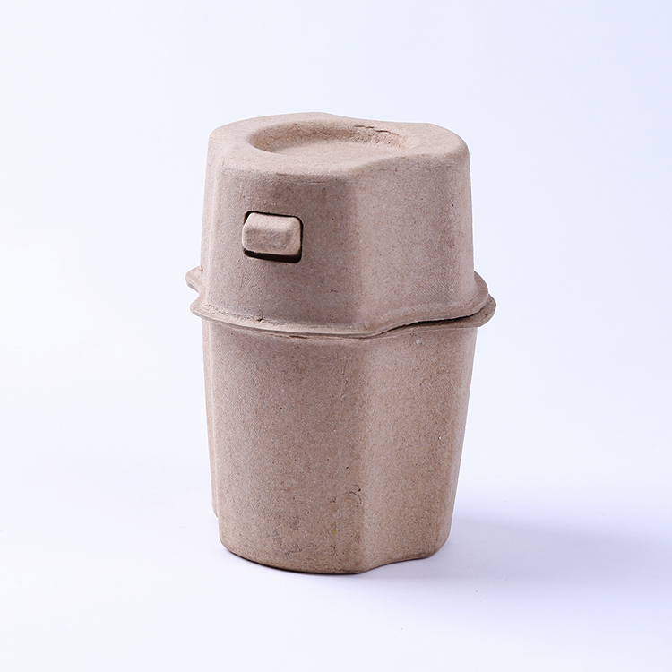 Eco-friendly Paper Pulp Molded Bottle Packaging Box