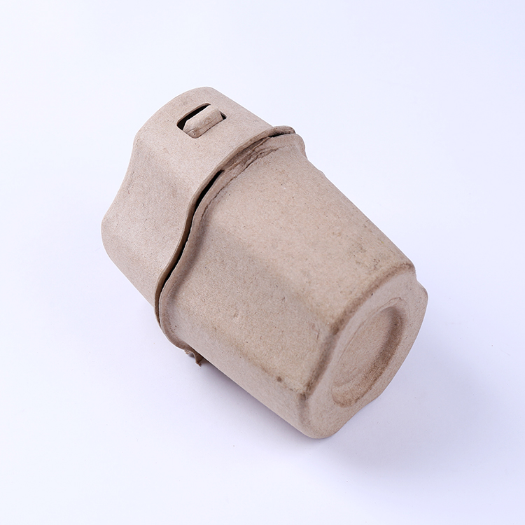 Eco-friendly Paper Pulp Molded Bottle Packaging Box