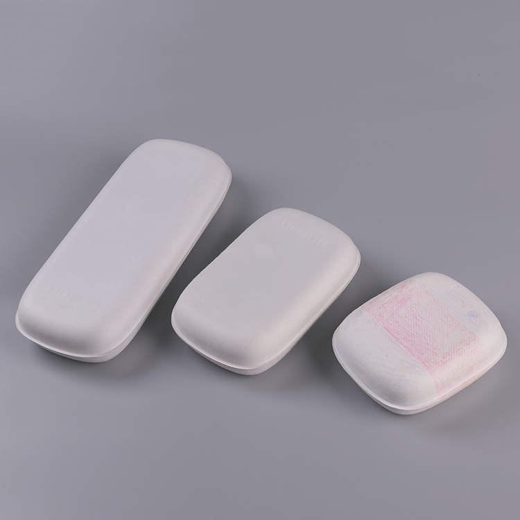 Custom Sugarcane Bagasse Pulp Molded Set Box Packaging