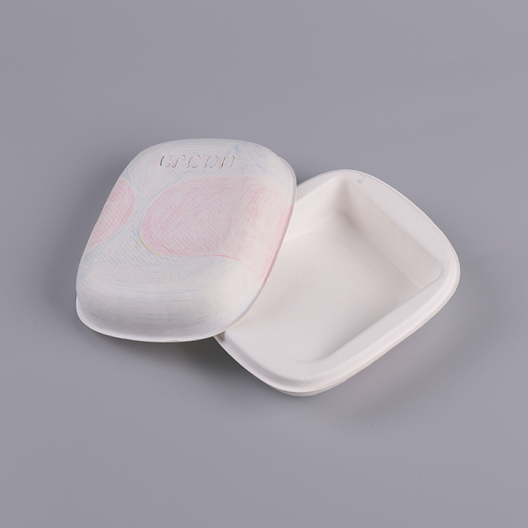 Custom Sugarcane Bagasse Pulp Molded Set Box Packaging