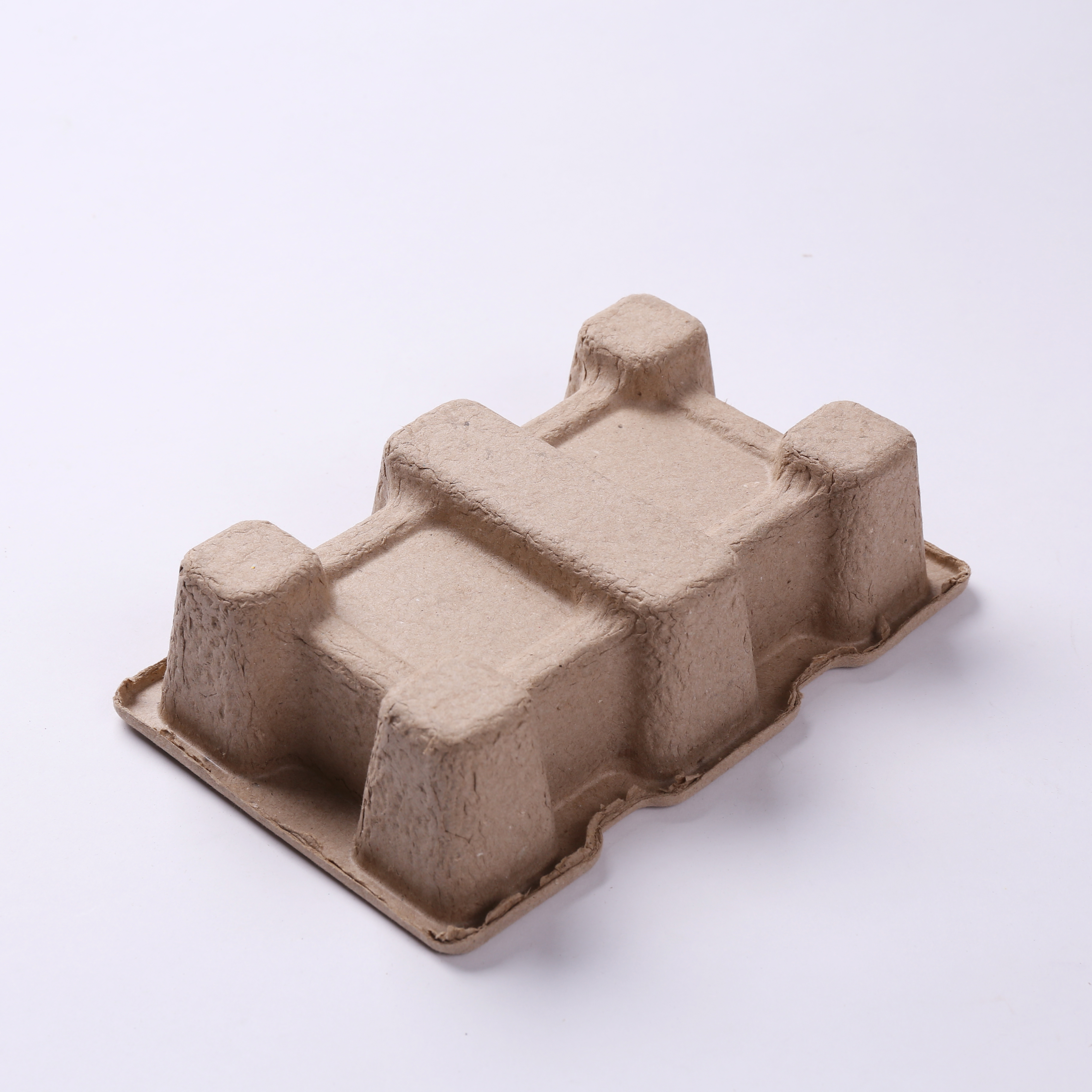 Custom Paper Pulp Mold Protective Box Packaging