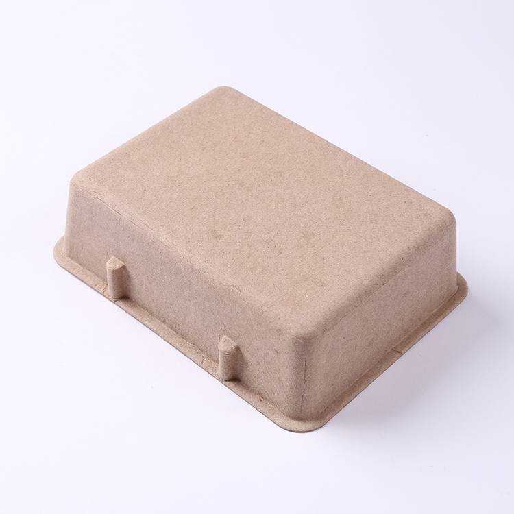 Biodegradable Disposable Molded Pulp Fruit Packing Box