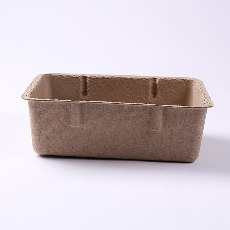 Biodegradable Disposable Molded Pulp Fruit Packing Box