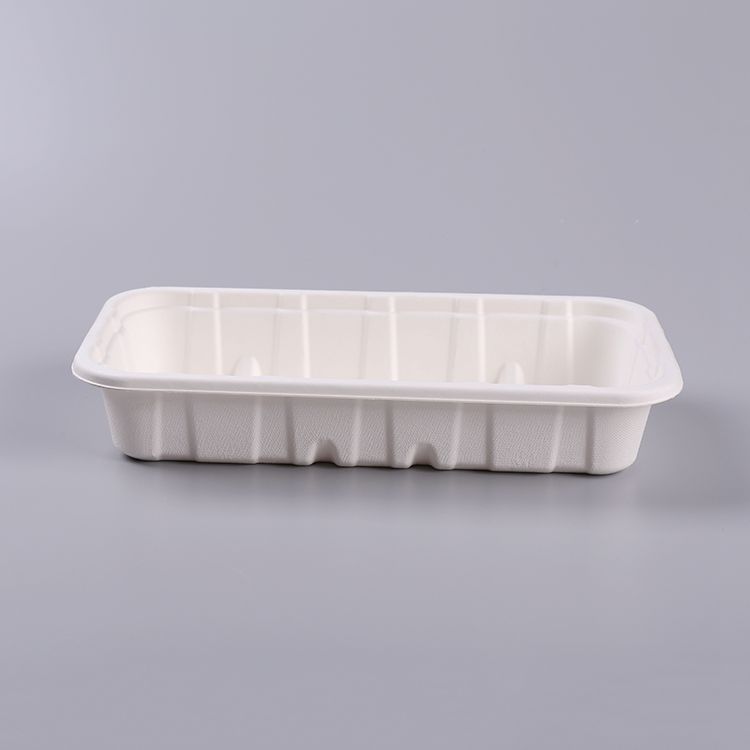Biodegradable Customized Pulp Mold Food Packaging Container
