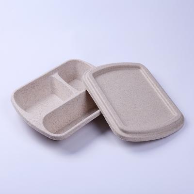 Pulp Molded Natural Color Biodegradable Food Packaging Box